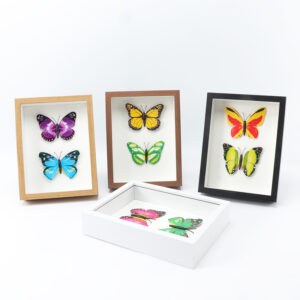 3CM Photo Frame 6 7 8 10 A4 Creative Handmade Diy Dried Flower Picture Box Frame Photo 3d Shadow Specimens Picture Frame
