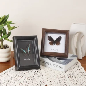 3D Glass Photo Frame 2cm Hollow Desig DIY Hollow Square Insect Butterfly Specimen Frame