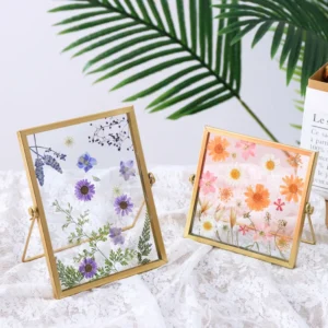 4×4 Double Glass Floating Frame Metal Picture Frame for Pressed Flowers Photos