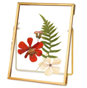 6 Inch Metal and Glass Pressed Flower Floating Picture Frame Tabletop Artwork Photo Frame for Home Decor Plant Specimen