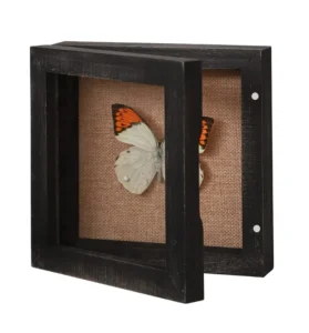 6×6 Square Shadow Box Display Size 5×5 Shadow Box Frame with Glass Small Shadow Box Display Case with Hinge and Magnetic Door