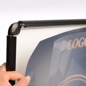 A0 a1 a2 a3 a4 b1 b2 b3 b4 Poster Frame