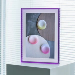 Acrylic F Rectangle Suspension Hollow Photo Frame with Logo Magnet Print Plant Specimen Wall Frame Creative Decorative Painting