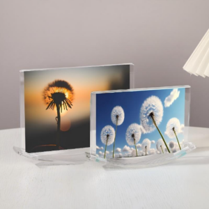 Acrylic Photo Frame Plastic Transparent Picture Frame Creative Semi Circular Colorful Decorative Frame