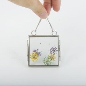 Brass Frames For Pressed Flowers Plants Coins Photos Glass Photo Frame Transparent Glass Picture Frame