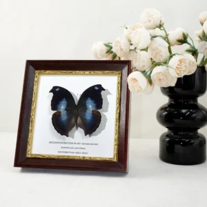Brown Wooden Retro Shadow Box Photo Frame with Creative Design Eco Friendly Handmade Art Frame
