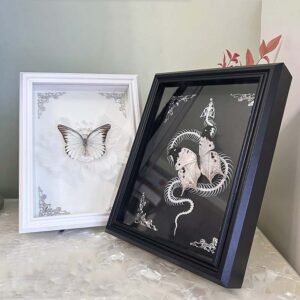 Butterflies Specimen Framed Real Glass DIY Exquisite Butterflies Insect Specimen Picture Frame Craft Display Photo Frame