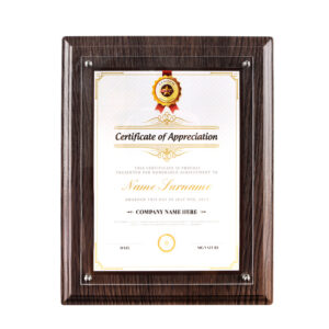 CHINEE Certificate A4 Display Frame Honor Awards Posed Wooden Photo Frame Walnut Acrylic Certificate Diploma