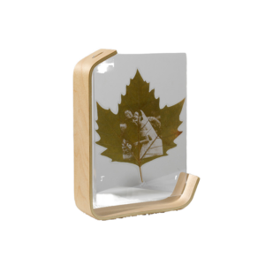 CHINEE Double-Sided Clear Acrylic Frame with Beech Stand Ideal for Leaf Carving Paper Cutting and Plant Specimen Display