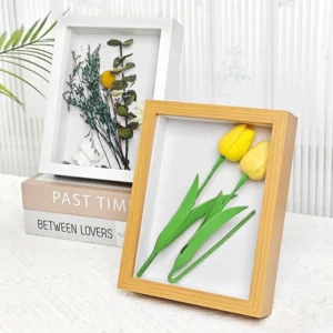 Creative A4 Size Black Shadow Box Frame Rectangle Style for Portrait Flower Animal Scenery Subjects with a Stylish Black Frame