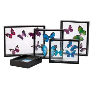 Custom Double Sided Glass 3D Frame for Displaying Foliage Insect Specimens Flower Animal Themed Float Shadow Box for Home Decor