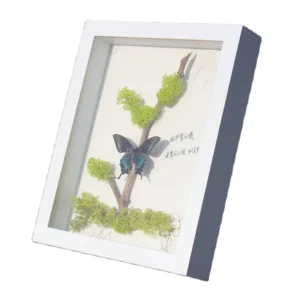 Custom Wood Australia Deep Square Shadow Box Frames Bulk 3d White Black Photo Picture Frames