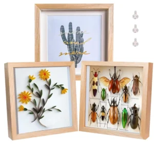 Customizable Logo 8×8 Wood Shadow Box Deep Picture Frame DIY Craft Artwork for Specimen Display or Christmas Souvenir Gifts