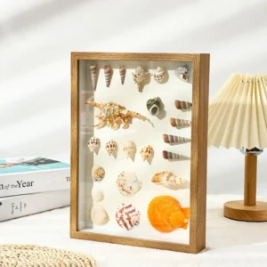 Customizable Modern 3D Shadow Box Picture Frames Wood MDF Material Available A4 Deep Wooden Frame Conch