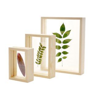 Customize 4×6 5×7 6×8 DIY Plant Specimen Double Glass Picture Frame Wood 3D Shadow Box Photo Frame