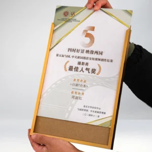 Customize A4 Certificate Aluminum Alloy Eco Friendly Frame