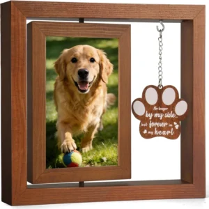 Customized Wooden Frame Base Frameless Photo Frame Decorative Desktop Easy Change Photos Stand Glass Frame
