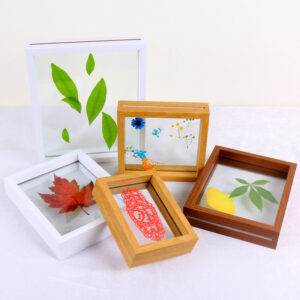 DIY Double sided Glass Transparent Photo Frame Table Leaf Specimen Embossed Paper cut Picture Frame