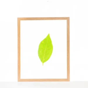 DIY Handmade Eco Friendly Solid Wood Frame Double sided Glass Art Picture Photo Frame