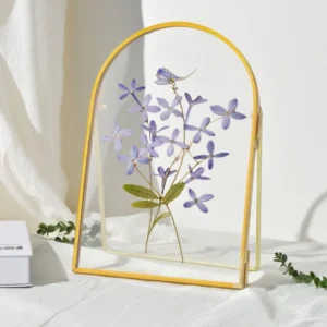 DIY Small Photo Frame Plant Specimen Photo Holder Drawing case Transparent Glass Octagonal Metal Photo Frame Wall mounted