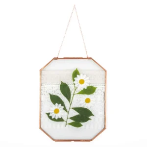 Double Clear Floating Octagon Geometric Gold Brass Glass Frame for Dried Flowers Wall Hanging Gold Brass Photo Frame