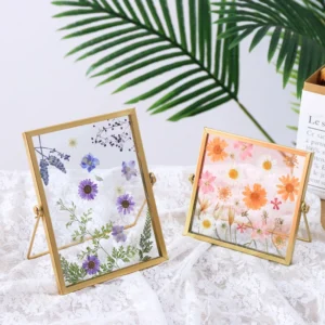 Double Glass Floating Frame Metal Picture Frame for Pressed Flowers Photos