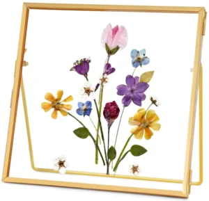 Double Real Glass Frame for Pressed Flower Floating Picture Frame Tabletop Artwork Photo Frame for Home Decor Plant Specimen