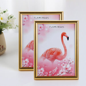 Eco Friendly Plastic Photo Frame for Tabletop and Wall Decor Custom Home Simple DIY PVC Desktop Wall Hanging Picture Photo Frame