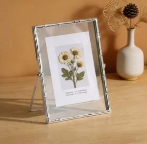 Elegant Silver Photo Frame Minimalist Bamboo Joint Design Floating Iron Frame with Glass Electroplated Silver