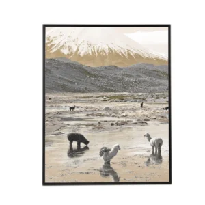 Extra Large Poster Frame 30×40 50×70 Wall Decor Black Aluminum Picture Frame for Decor & Certificate Display