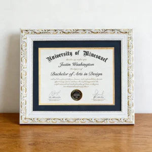 Factory Modern Classic European Style Plastic Customized Color Size A4 Award Certificate Document Diploma Frame
