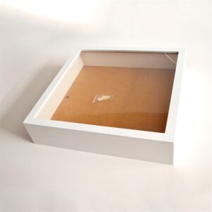 FactoryCustomized Empty Solid Wood Shadow Box Frames Flower Portrait Modern Style White Customized Color Transparent Window