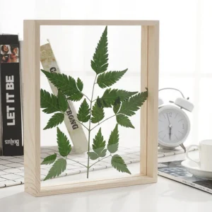 Floating Transparent Double Side Glass Specimen Shadow Box Photo Frame for Decorations