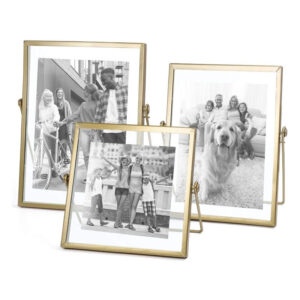 Frames Picture Gold Floating Frame Double sided Glass Photo Frame for Plant Wall Hanging Table Standing