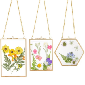 Golden Hanging Glass Photo Frames with Chain for Floating DIY Dried Flowers Leaves Artwork Display