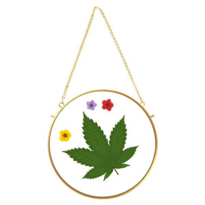 Golden Round Dried Flower Brass Glass Photo Frame Round Botanical Floating Frame for Home Decoration