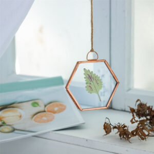 Handmade Premium Design Modern Stylish Decorative Hexagon Glass Photo Frame Custom Color