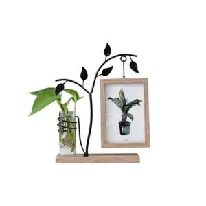 High Quality Custom Wooden Photo Picture Frames With the Hydroponic Plant