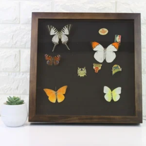 High Quality Customizable Black Velvet Shadow Box Frame with Pine Wood and Personalized Logo