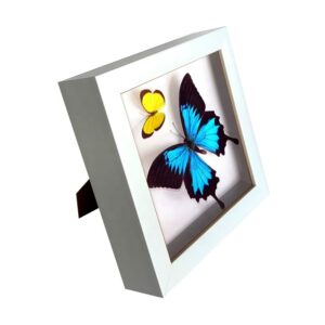 Home Decor Picture Frames Display 3D Framed Shadow Box Wall Art