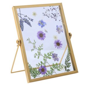 Hot Sales Modern Metal Glass 6 Inch Photo Frame Set Dried Flower Plant Specimens DIY Photo Frame
