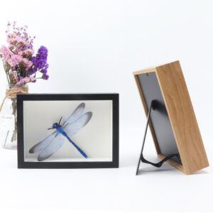 Latest Design of 3 Piece Wood Photo Frame with Handle Shadow Box Frame