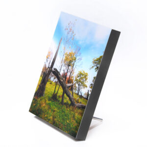 MDF Frameless Wood Picture Frame Photo Frame Wall Frames