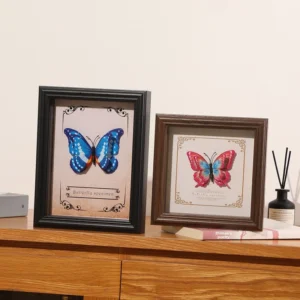MDF Hollow Three dimensional Glass Photo Frame for DIY butterfly and Insect Specimen Display Box