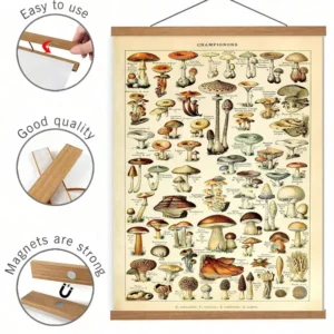 Magnetic Wood Hanger Frame Poster Canvas Frames Pine for Photos Pictures Prints Maps Scrolls and Canvas Artwork Wall Art Decor