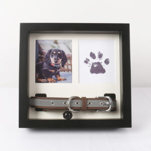 Memorial Picture Frame for Pets Remembrance for Dogs & Cats Shadow Box with Collar Paw Print Picture Frame