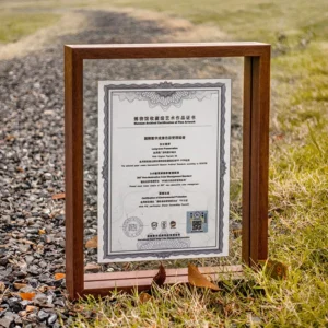 Modern Brown Double Glass Clear Picture Certificate Frames on Sale Smart Acrylic Wall Photo Floating Frame