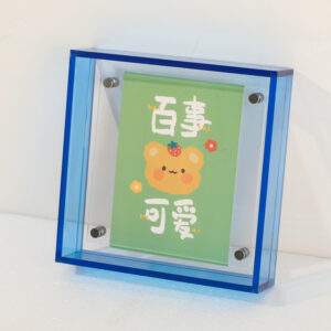 Modern Floating Style Acrylic Square Screw Frame Decorative Photo Frame for Landscape and Portrait Display in 5 Colors