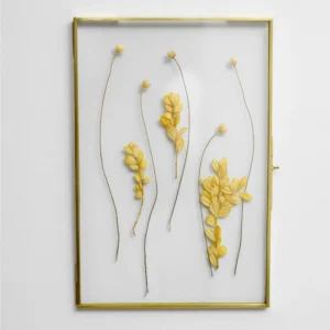 Modern Handmade Eco friendly Customizable Wall Hanging Floating Glass Photo Frame Brass Gold Metal Edges