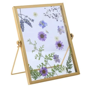 Modern Metal Glass 6 Inch Photo Frame Set Dried Flower Plant Specimens DIY Photo Frame